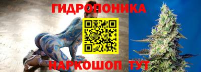 кокс Кингисепп