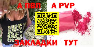кокс Кингисепп