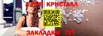 кокс Кингисепп