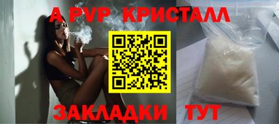 кокс Кингисепп