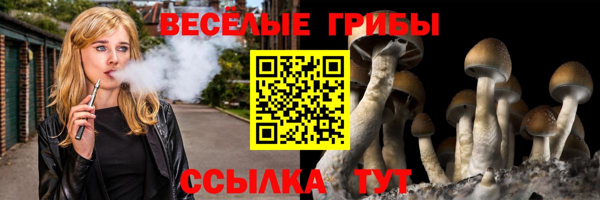 Галлюциногенные грибы мухоморы Арсеньев